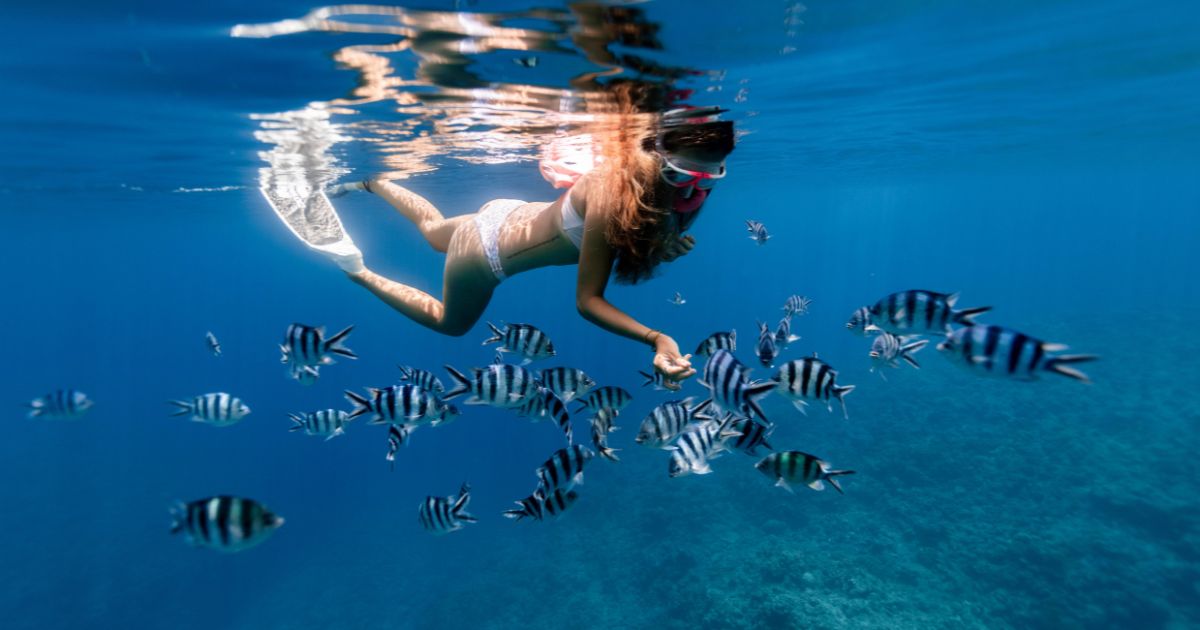 buceo en krabi
