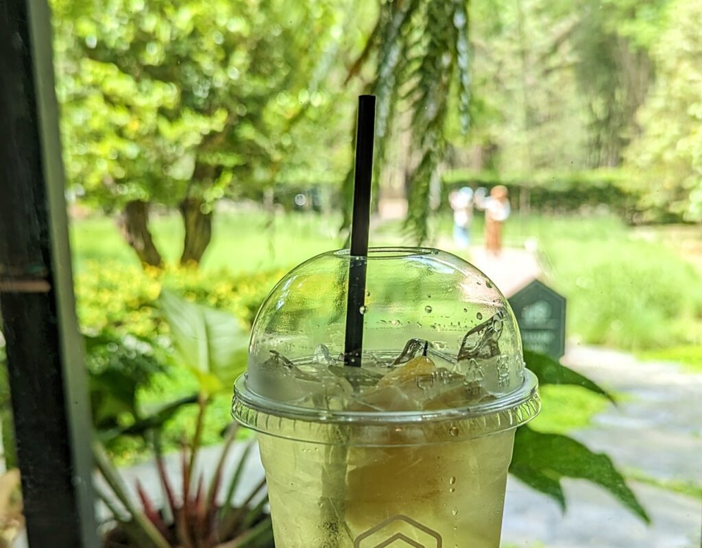 dans la forêt krabi