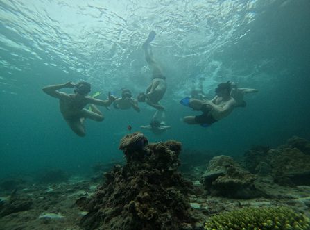 Grupo de buceadores explorando un arrecife de coral y peces tropicales en Krabi
