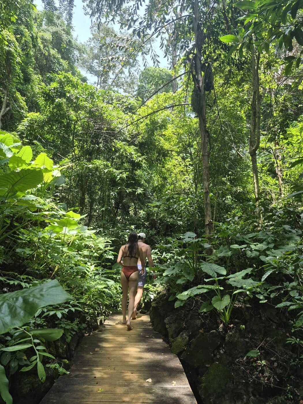 Una mujer que camina por la selva por una pasarela de madera